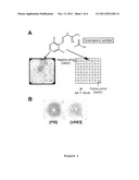 Use of chlorine Guanabenz derivatives for treating prion-based diseases diagram and image