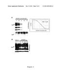 Use of chlorine Guanabenz derivatives for treating prion-based diseases diagram and image