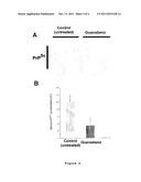 Use of chlorine Guanabenz derivatives for treating prion-based diseases diagram and image