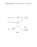 TRANSFECTION WITH MAGNETIC NANOPARTICLES AND ULTRASOUND diagram and image