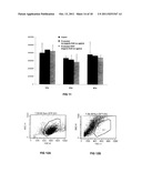 TRANSFECTION WITH MAGNETIC NANOPARTICLES AND ULTRASOUND diagram and image