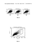 TRANSFECTION WITH MAGNETIC NANOPARTICLES AND ULTRASOUND diagram and image