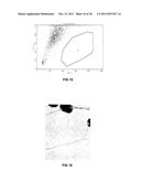 TRANSFECTION WITH MAGNETIC NANOPARTICLES AND ULTRASOUND diagram and image