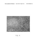 METHOD FOR MANUFACTURING TRANSMISSION ELECTRON MICROSCOPE MICRO-GRID diagram and image