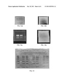 Illuminator for Visualization of Fluorophores diagram and image