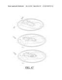 PT1-2 PULL TAB diagram and image