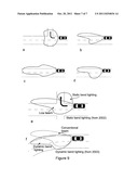 NANOSTRUCTURED LED diagram and image