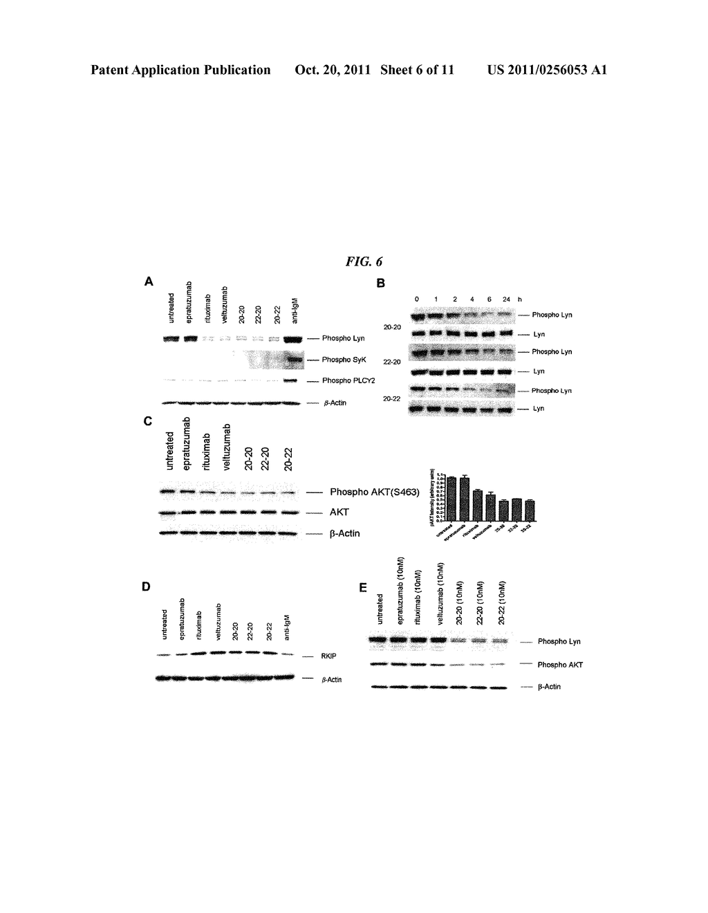 Multiple Signaling Pathways Induced by Hexavalent, Monospecific and     Bispecific Antibodies for Enhanced Toxicity to B-Cell Lymphomas and Other     Diseases - diagram, schematic, and image 08