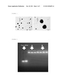 NANOPARTICULATE SYSTEMS PREPARED FROM ANIONIC POLYMERS diagram and image