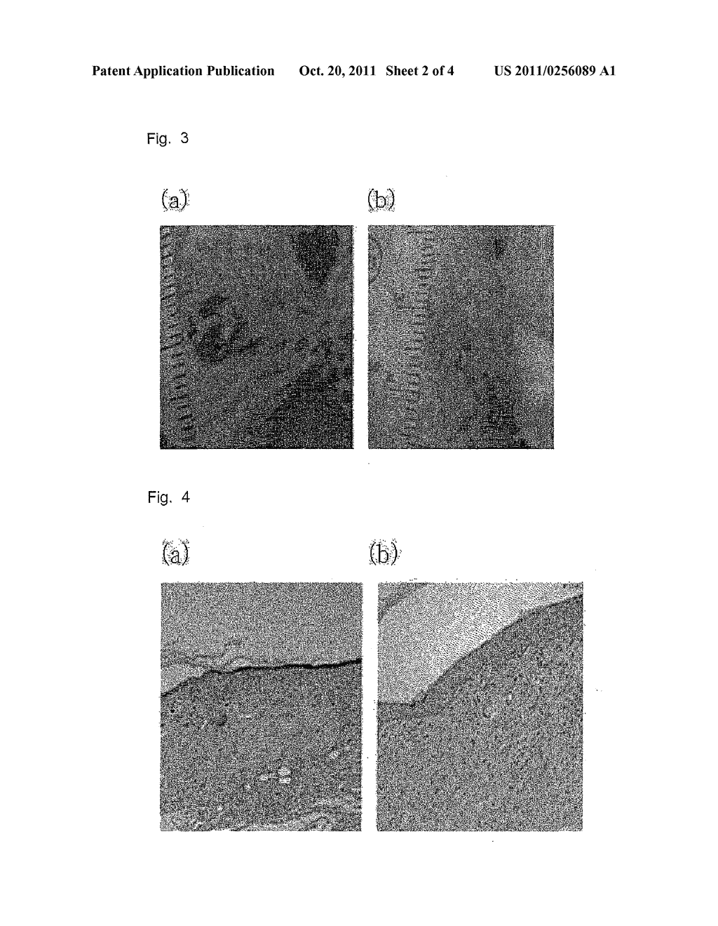 Hydrogel Type Cell Delivery Vehicle for Wound Healing, and Preparation     Method Thereof - diagram, schematic, and image 03