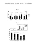 Method for Identifying Genes Involved in Trail-Induced Apoptosis and     Therapeutic Applications Thereof diagram and image