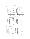 Method for Identifying Genes Involved in Trail-Induced Apoptosis and     Therapeutic Applications Thereof diagram and image