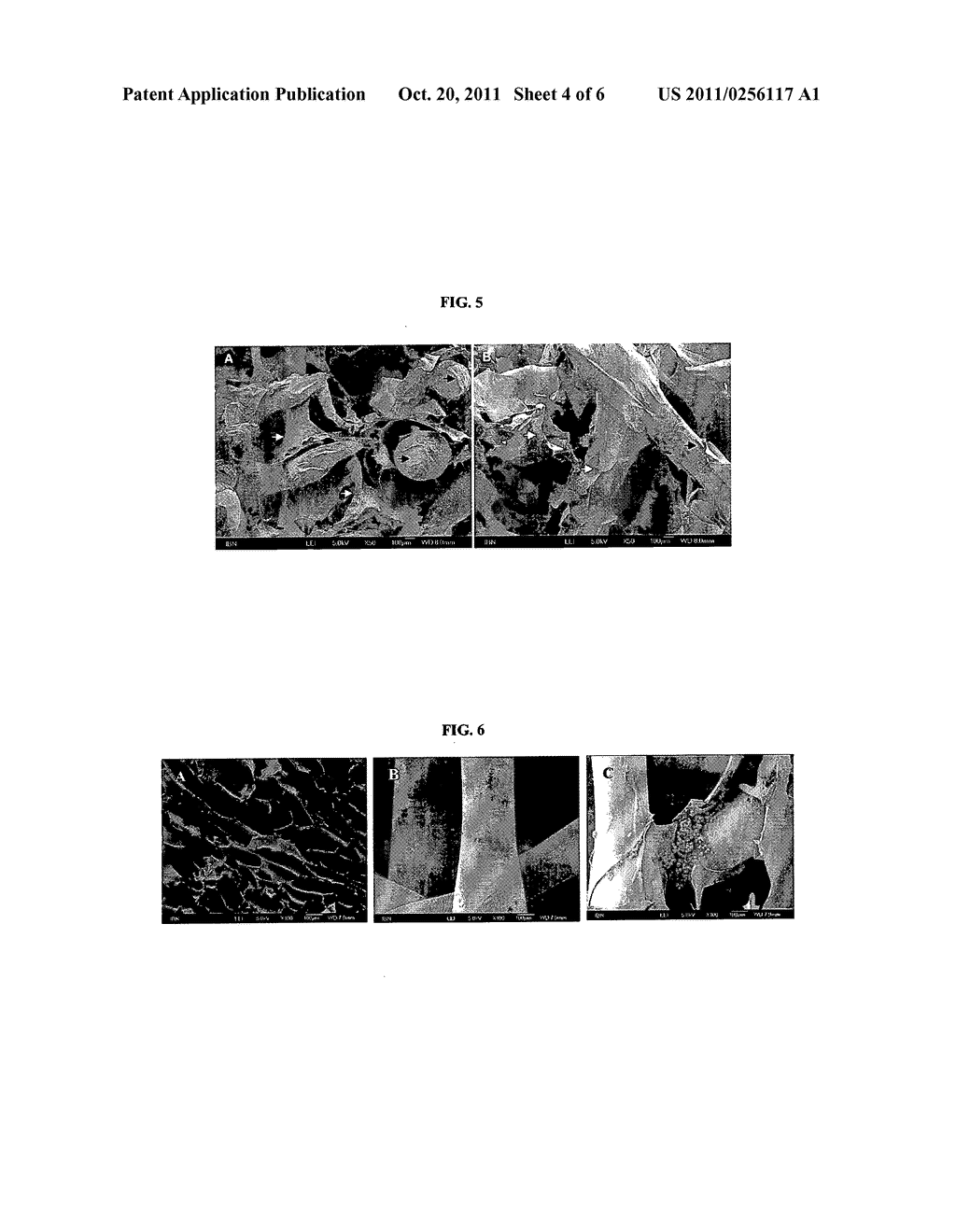 MANUFACTURING AND USE OF COMPOSITE SCAFFOLDS - diagram, schematic, and image 05