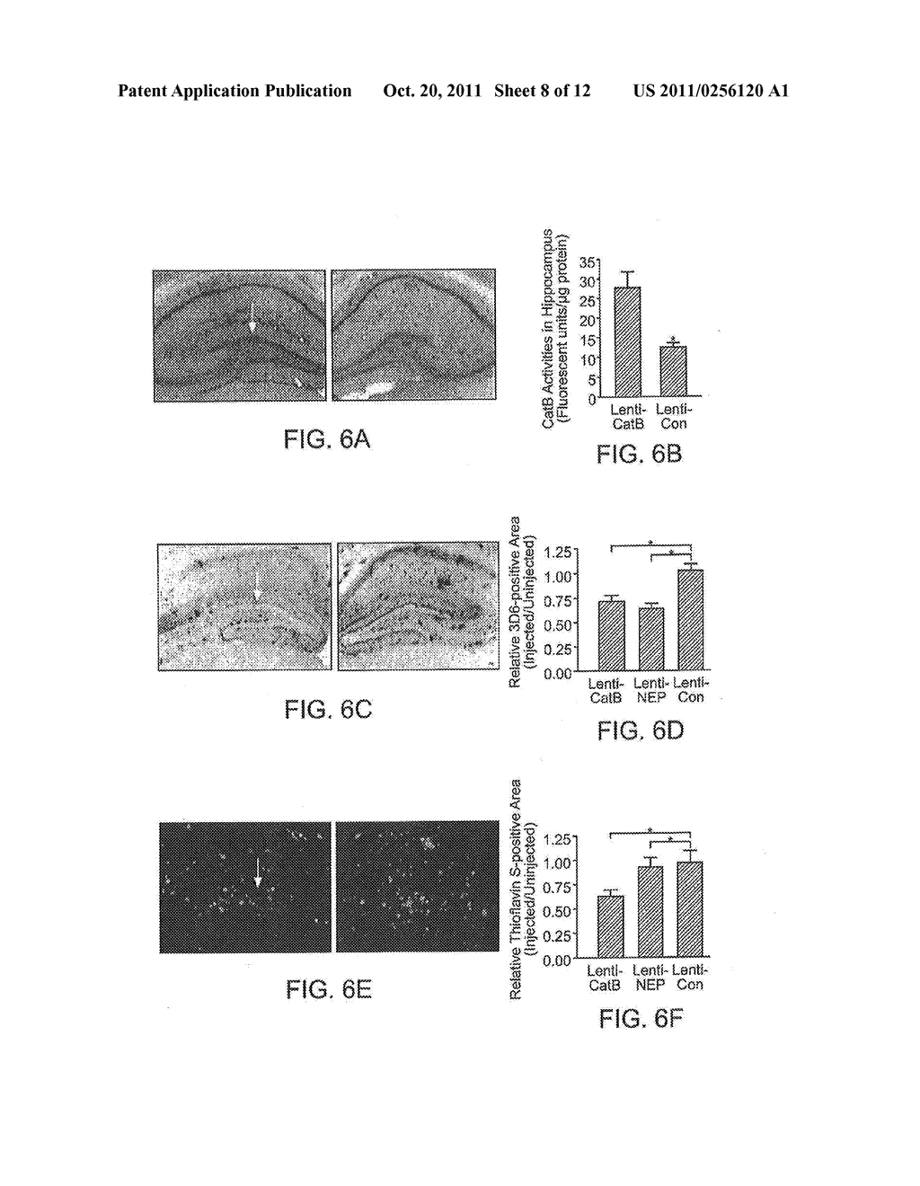 Methods and Compositions for Reducing Amyloid Beta Levels - diagram, schematic, and image 09