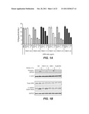 ANTI-LRP6 ANTIBODIES diagram and image