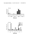 ANTI-LRP6 ANTIBODIES diagram and image