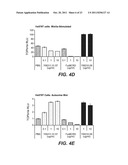 ANTI-LRP6 ANTIBODIES diagram and image