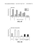 ANTI-LRP6 ANTIBODIES diagram and image