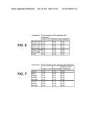 ANTI-LRP6 ANTIBODIES diagram and image