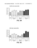 ANTI-LRP6 ANTIBODIES diagram and image