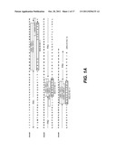 ANTI-POLYUBIQUITIN ANTIBODIES AND METHODS OF USE diagram and image