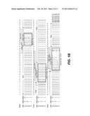 ANTI-POLYUBIQUITIN ANTIBODIES AND METHODS OF USE diagram and image