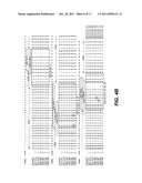 ANTI-POLYUBIQUITIN ANTIBODIES AND METHODS OF USE diagram and image