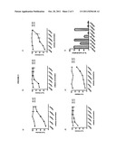 ANTI-HCV MONOCLONAL ANTIBODY AS A MEDICAMENT FOR THE THERAPUTIC TREATMENT     AND PREVENTION OF HCV INFECTIONS diagram and image