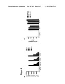 DIAGNOSTIC AND TREATMENT METHODS FOR CANCER BASED ON IMMUNE INHIBITORS diagram and image