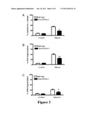 Methods Of Treating And Preventing Glucose Toxicity diagram and image