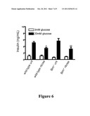 Methods Of Treating And Preventing Glucose Toxicity diagram and image