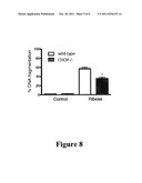 Methods Of Treating And Preventing Glucose Toxicity diagram and image