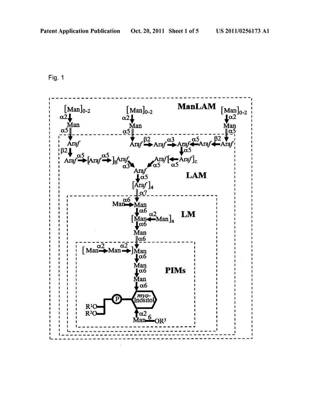 CHEMICAL SYNTHESIS OF PHOSPHATIDYLINOSITOL MANNOSIDE GLYCANS FROM     MYCOBACTERIUM TUBERCULOSIS - diagram, schematic, and image 02