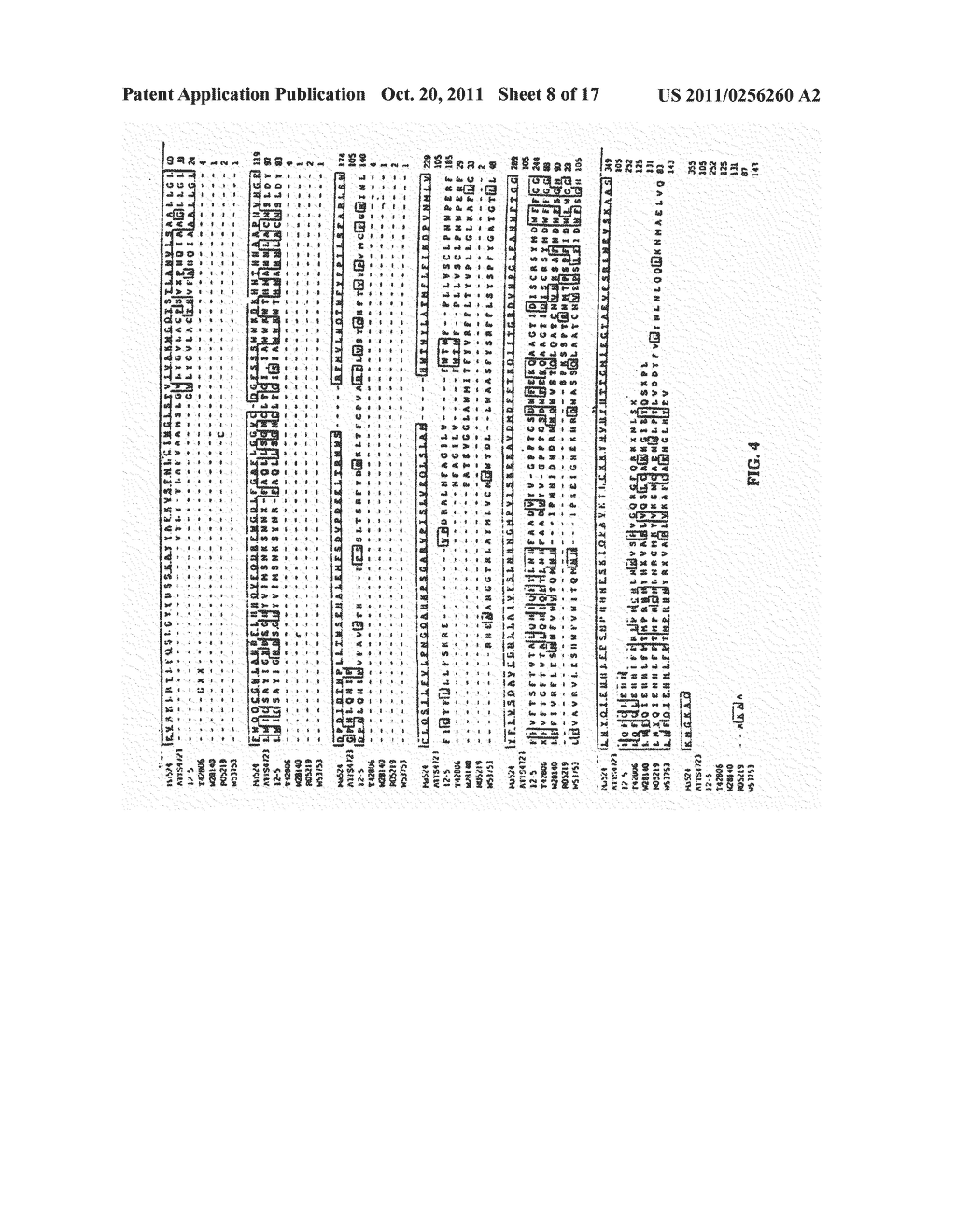 METHODS AND COMPOSITIONS FOR SYNTHESIS OF LONG CHAIN POLYUNSATURATD FATTY     ACIDS - diagram, schematic, and image 09