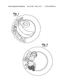 THREE-DIMENSIONAL DECORATION KIT diagram and image