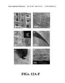 NANOTUBE-BASED NANOMATERIAL MEMBRANE diagram and image