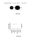 MOLECULES INTERACTING WITH CASL (MICAL) POLYNUCLEOTIDES, POLYPEPTIDES, AND     METHODS OF USING THE SAME diagram and image