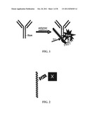 Novel reagents for directed biomarker signal amplification diagram and image