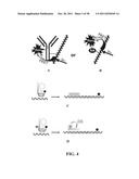 Novel reagents for directed biomarker signal amplification diagram and image