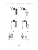 Novel reagents for directed biomarker signal amplification diagram and image