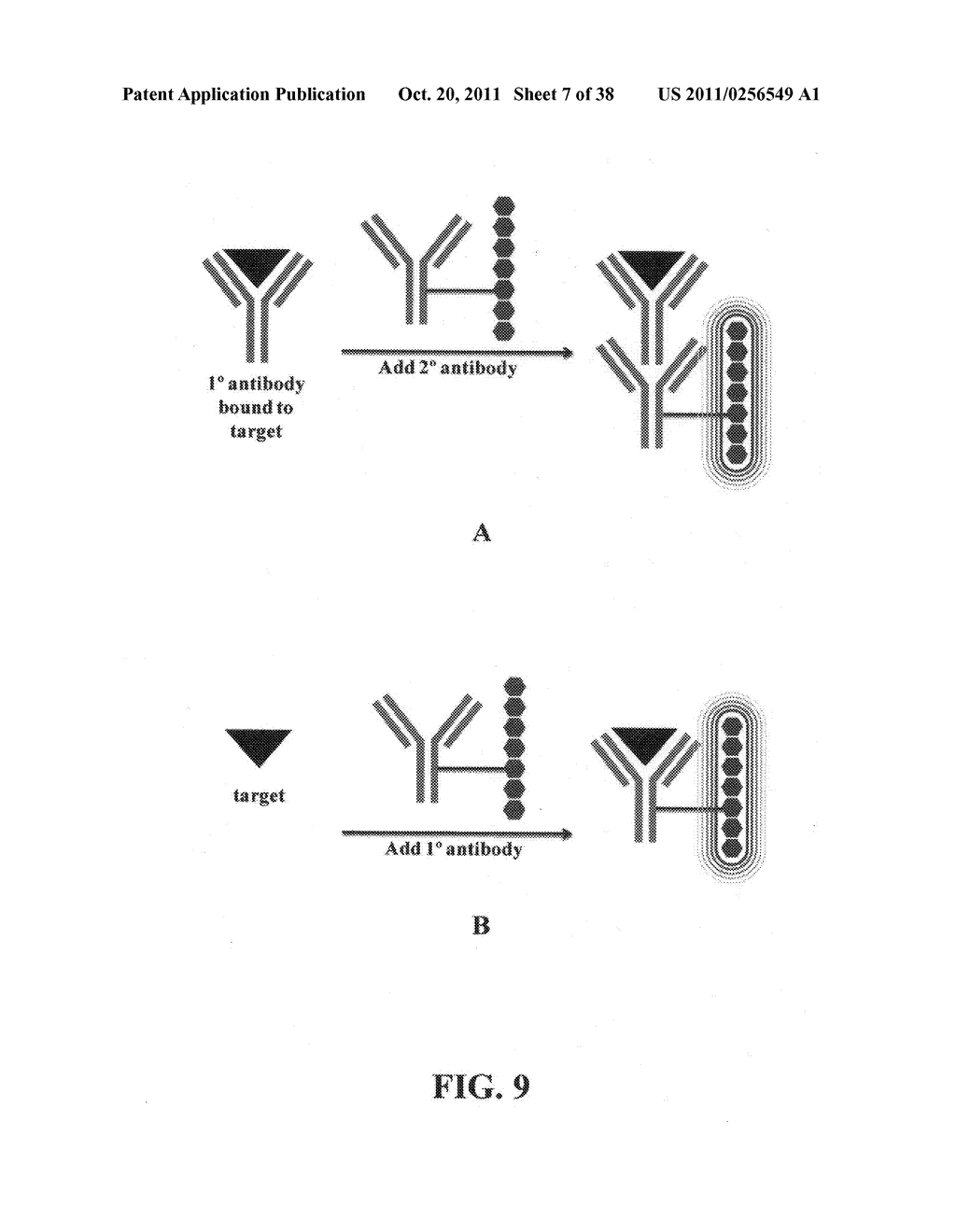 Novel reagents for directed biomarker signal amplification - diagram, schematic, and image 08