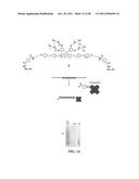 Novel reagents for directed biomarker signal amplification diagram and image