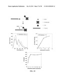 Novel reagents for directed biomarker signal amplification diagram and image