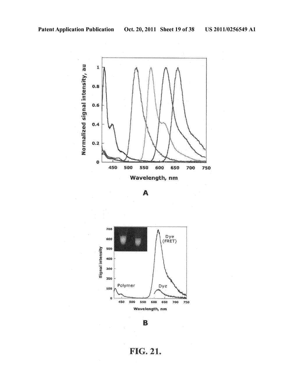 Novel reagents for directed biomarker signal amplification - diagram, schematic, and image 20