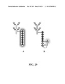 Novel reagents for directed biomarker signal amplification diagram and image