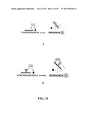 Novel reagents for directed biomarker signal amplification diagram and image