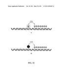 Novel reagents for directed biomarker signal amplification diagram and image