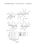 Novel reagents for directed biomarker signal amplification diagram and image