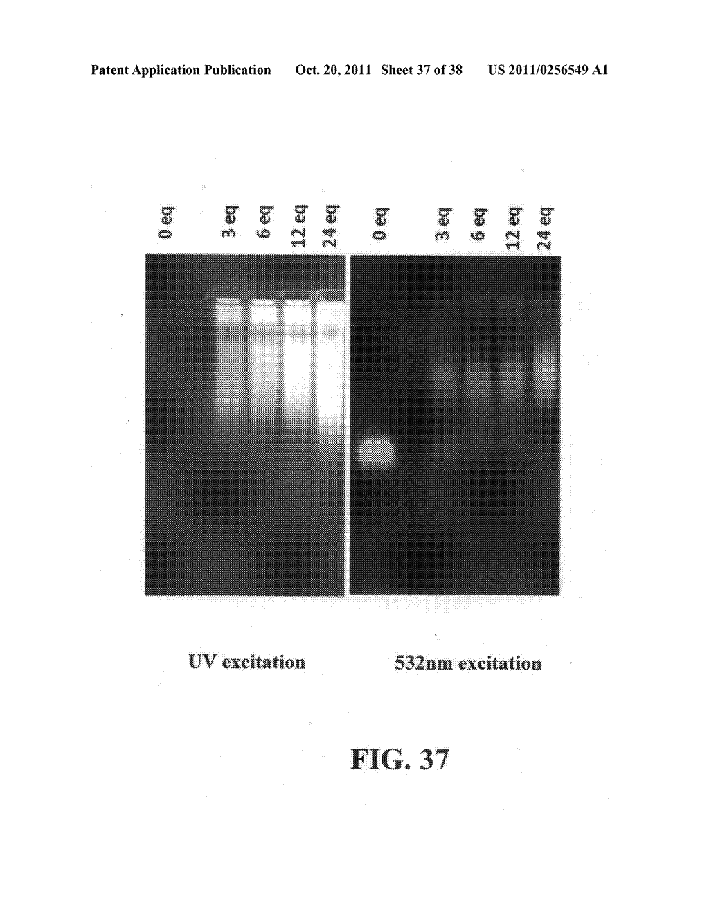 Novel reagents for directed biomarker signal amplification - diagram, schematic, and image 38