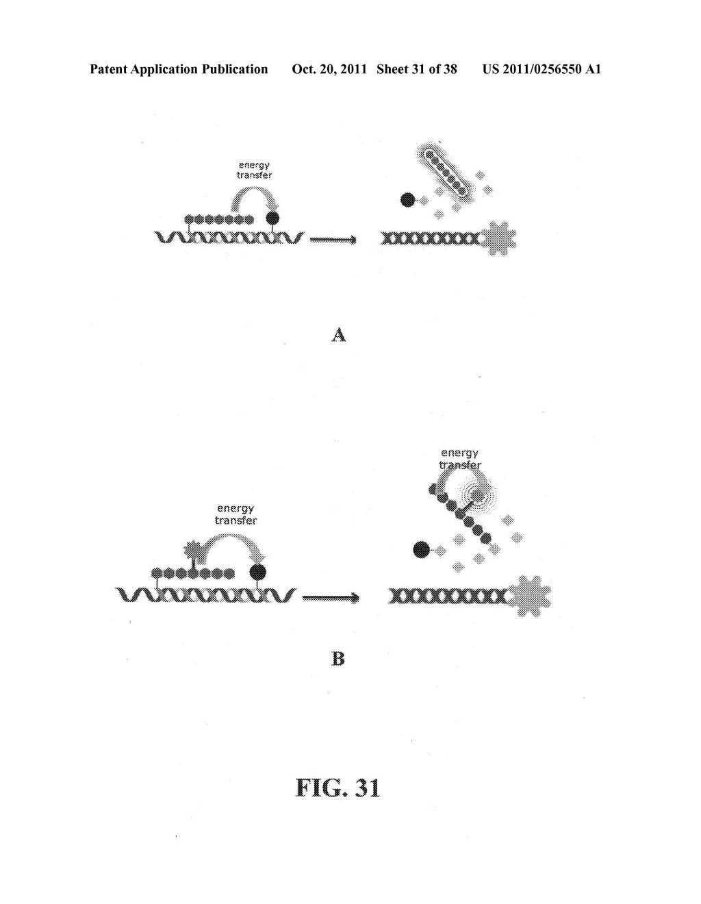 Novel reagents for directed biomarker signal amplification - diagram, schematic, and image 32